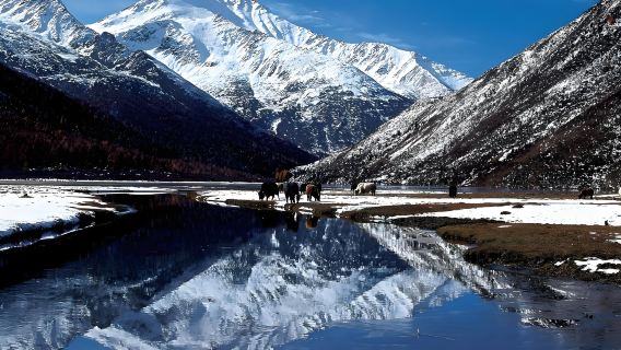 Depart from Chengdu: Hailuogou one-day tour(Glacier, Rime, Hot Spring Experience)