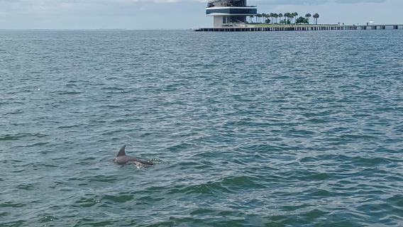 เซนต์ปีเตอร์สเบิร์ก: ทัวร์เซกเวย์ชมวิว