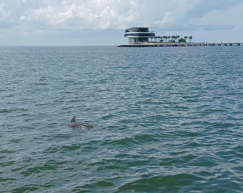 St. Petersburg: Scenic Segway Tour