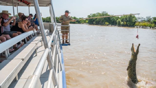 Excursión de medio día en crucero para ver cocodrilos en el río Darwin de Australia [Tour por los humedales con cocodrilos/incluye traslado desde el centro]