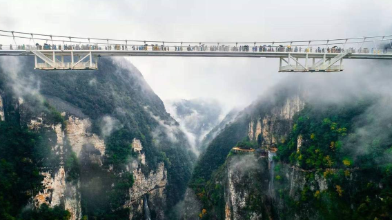 Ab Zhangjiajie: Tagesausflug zur Zhangjiajie-Schlucht und Glasbrücke