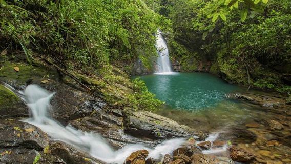 Cockscomb Wildlife Sanctuary