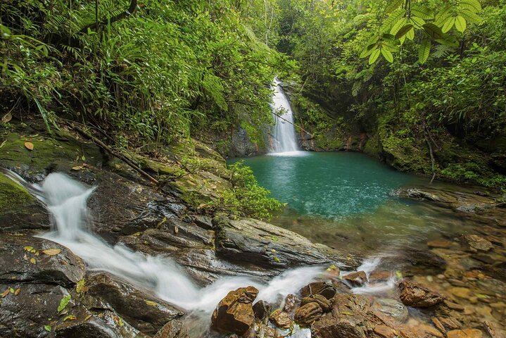 Cockscomb Wildlife Sanctuary 