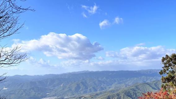 Mount Hiei Enryaku-ji Temple + Hachiman-bori Moat + Kyorinbo Temple Red Maple 1-day Tour