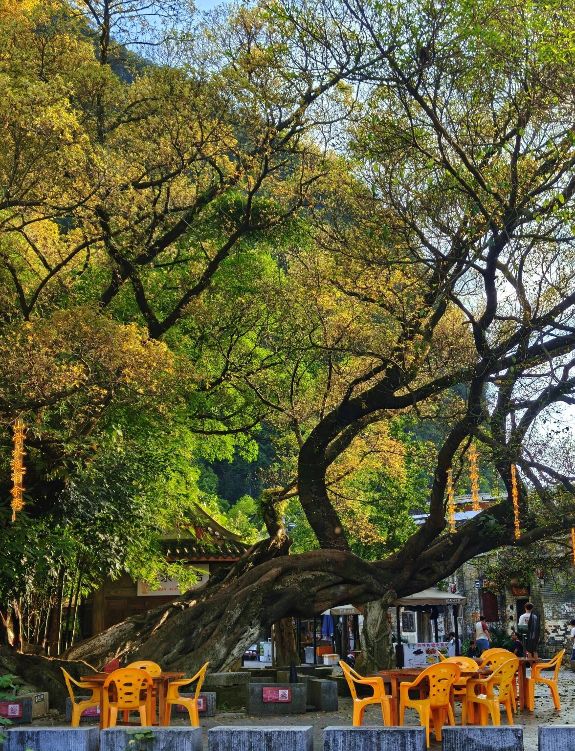 Guangxi Hezhou Zhongshan Shuimo Tianyuan + Huangyao Ancient Town + Ziyunxianjing Scenic Area Private Charter 1-day Tour with English Service Available