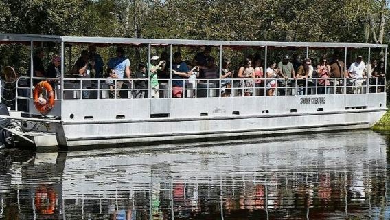 New Orleans: Guided Pontoon Boat Swamp Tour