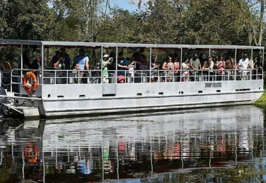 New Orleans: Guided Pontoon Boat Swamp Tour