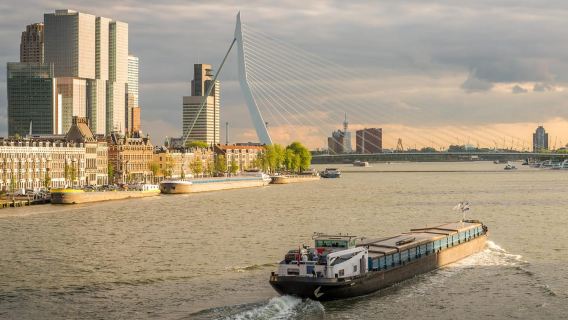 Desde Ámsterdam: Tour de Róterdam y La Haya en español