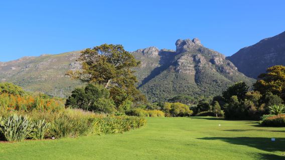 【開普敦經典包車一日遊】桌山+康斯坦博西植物園+豪特灣