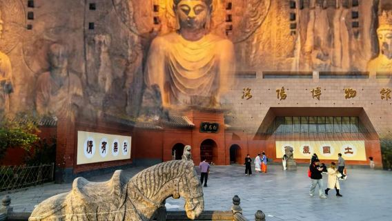 8-Person Luxury Small Group Tour: Longmen Grottoes + White Horse Temple + Skip-the-Line Luoyang Museum + English Guided Tour