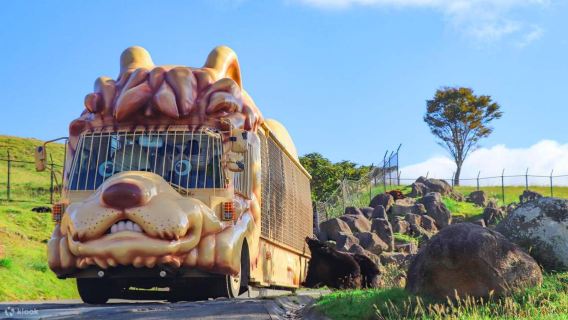 Second traveler gets 50% off when booking for two|1-day Tour in Beppu Oita Yufuin Kyushu Wildlife Park African Safari Umi Jigoku