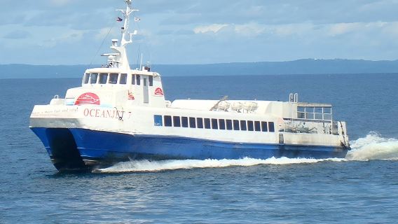 Filipijnse boottickets: Cebu/Bohol/Calapan/Batangas/Bacolod/Iloilo/Ormoc en andere steden - Meerdere routes|Economy Class/Business Class