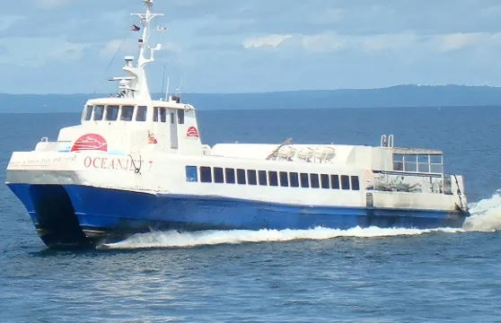 菲律賓船票：宿霧/薄荷島/卡拉潘/八打雁/巴科羅/怡朗/奧爾莫克等城市 - 多航線|經濟艙／商務艙