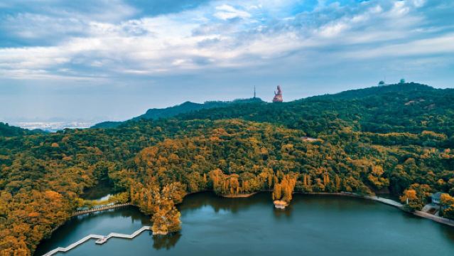 佛山祖廟+醒獅表演+佛山嶺南新天地+西樵山一日【私家小團專車接駁】