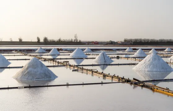 台南七股鹽山+赤崁樓+安平古堡【台南出發】