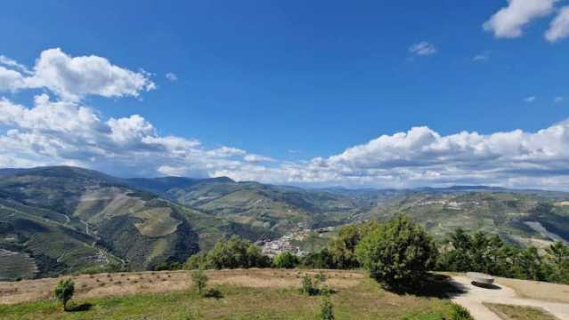 葡萄牙波爾圖-杜羅河谷-皮尼揚品波特酒【中文專車-愜意舒適】