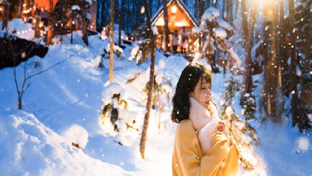 Lawatan Sehari Hokkaido|Taman Zoo Asahikawa + Pokok Krismas Biei + Teres Makhluk Hutan|Boleh Disesuaikan