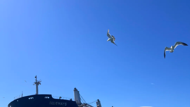 Weihai Blueways Ship + Narxinhai + Swan Lake + Hailv Island Private Charter Customized Day Tour