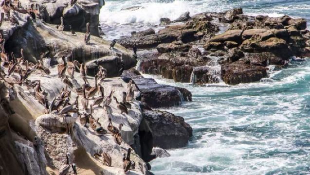 美國洛杉磯來回聖地亞哥老城+巴爾波亞公園+海港村【景點可調】