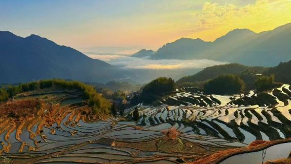 Lawatan Sehari ke Teres Sawah Yunhe + Kampung Seni Guyan Termasuk Tiket Masuk [Teres Sawah Puisi dan Lukisan, Dunia Yunhe dan Anda]