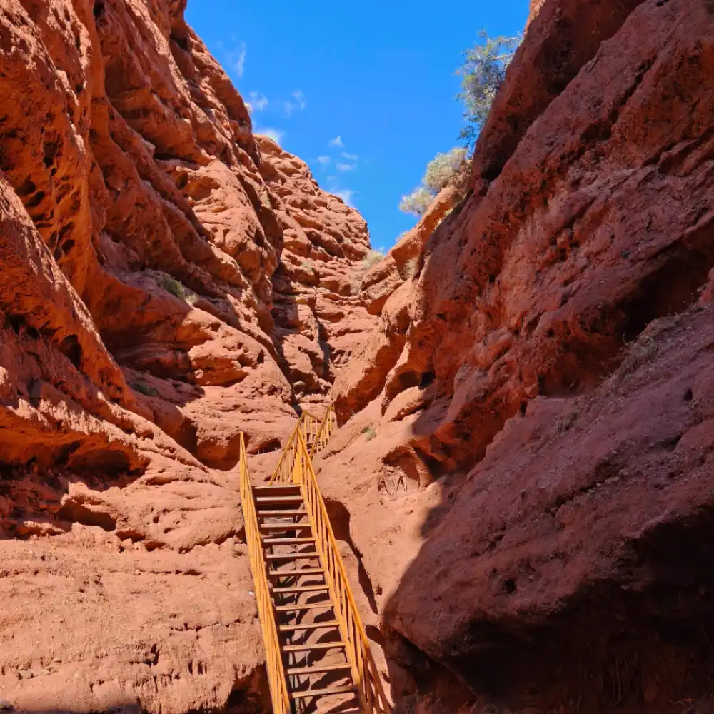 1-day tour to Pingshan Lake Grand Canyon and Zhangye colorful
