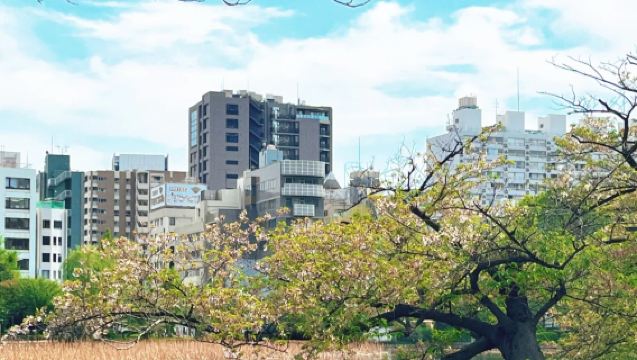 東大附近小眾寶藏景點日遊：東京大學-不忍池-上野公園-秋葉原
