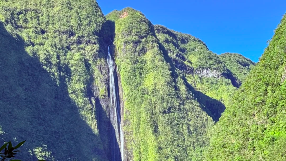 1-day Salazie cirque tour + white waterfall + bride's veil waterfall + Bourbon vanilla plantation + lunch included