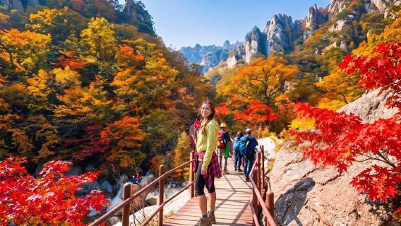 Mt. Seorak+Nami Island+Garden of Morning Calm Day Trip from Seoul