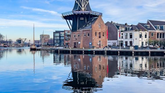Lawatan Sehari Bandar Lama Tersembunyi | Dataran Pasar Haarlem + Menara Angin Leiden