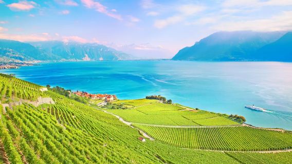 Switzerland Geneva Katedral Lausanne + Montreux + Kebun Anggur Lavaux - lawatan sekitar tasik dengan sewaan peribadi berbahasa Cina