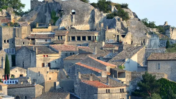 Parc Naturel Régional des Alpilles: Guided Tour from Arles