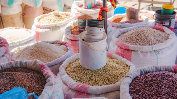 Half-Day Food Adventure (Lusaka): A Culinary Safari