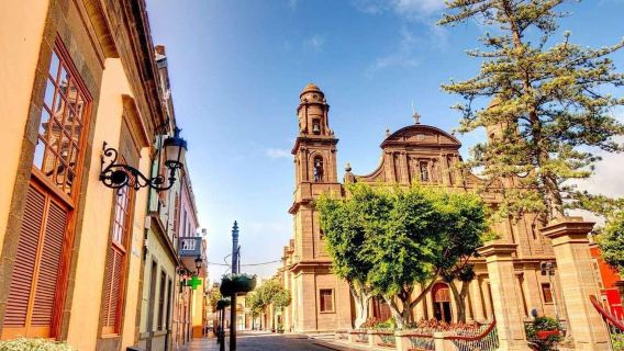 From the south of Gran Canaria: Coffee Route: Moya, Gáldar, and Valle de Agaete