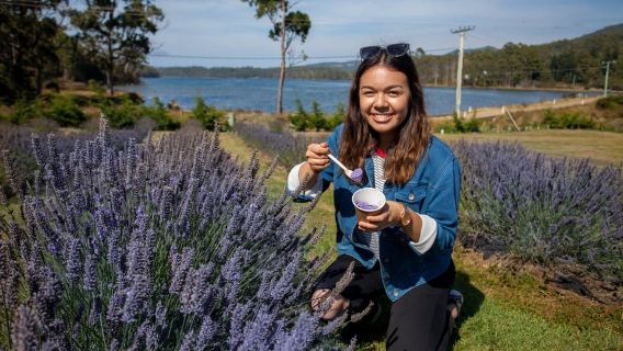Hobart: Port Arthur, Lavender Farm, Richmond & Tasman NP