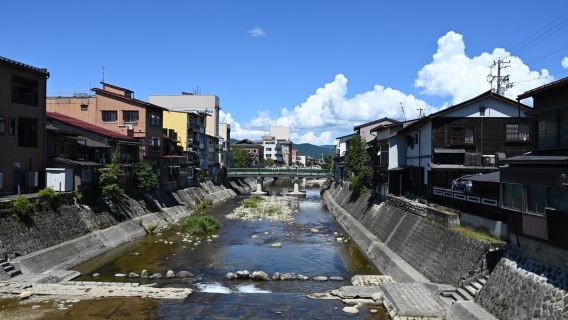 Takayama: Local Food Tasting & Walking Tour