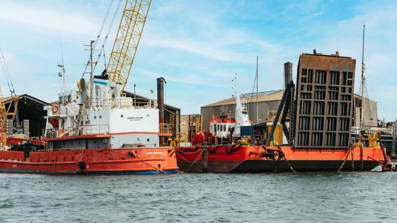 Port Adelaide: Dolphin and Ships Graveyard Cruise