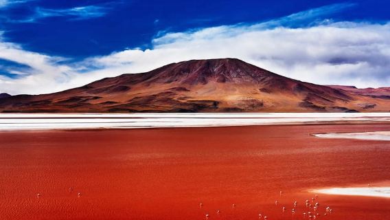 Desde Uyuni: Tour en jeep por los lugares destacados del Salar de Uyuni con almuerzo