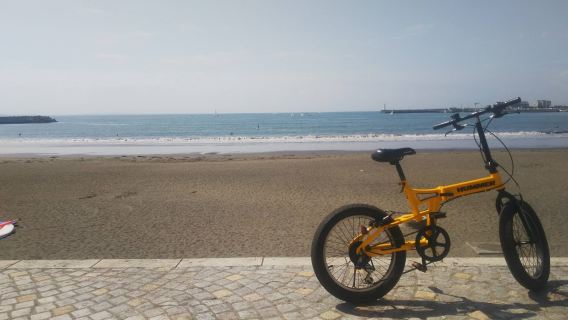 【ペア】自転車 日帰りレンタル　１日乗り放題