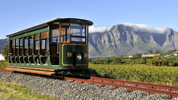 Cape TownTours