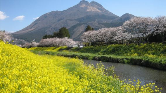 [Ab 1 Person] Klassischer Tagesausflug in Ōita (Dazaifu + Yufuin + Beppu) – Abfahrt von Fukuoka