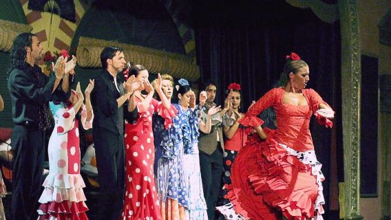 Flamenco Show in Granada