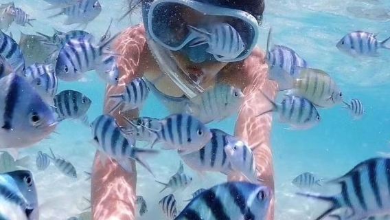 全島接駁/泰國芭達雅格蘭島一日遊【果凍海*浮潛摸小魚】贈旅拍