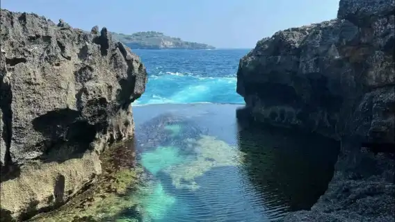 佩妮達島一日遊：飯店專車接送純玩團-西線&東西線&出海浮潛