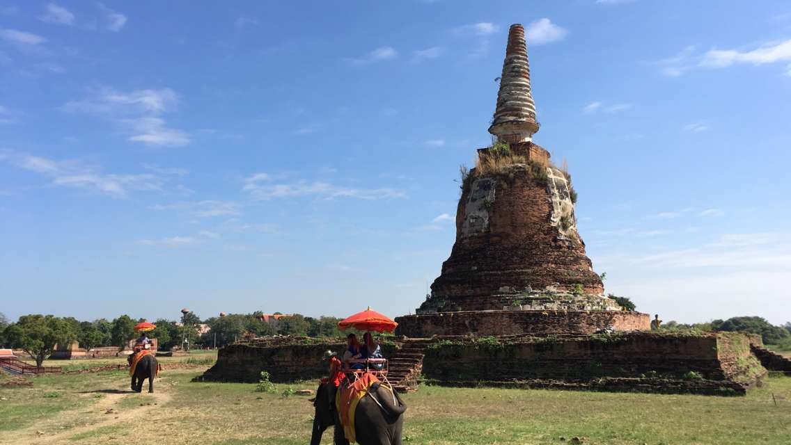 世界遺産アユタヤ遺跡 + 象乗り体験 半日ツアー