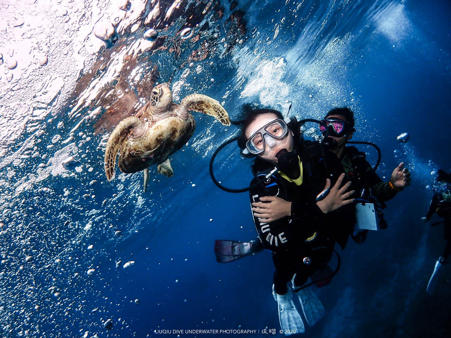 Pingtung Lambai Island introductory diving and scuba diving 2 hours [Lambai Island diving & sea turtle roaming | Liuchien]