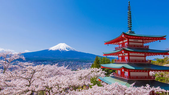 FujiyoshidaTours
