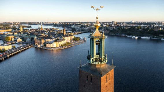 Stockholm City Hall, Royal Palace, and Cathedral one-day tour
