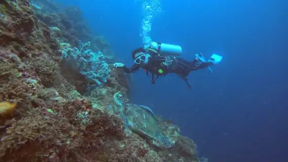 Discover diving scuba diving in Cebu, Philippines (2 Hours) [1 diving at the diving Entrance (Mactan Island)]