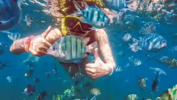 泰國芭達雅沙美四島遊-【芭達雅來回，浮潛海釣享不停】