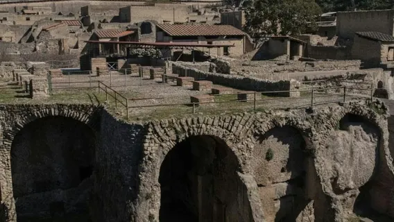 Herculaneum: Entrébiljett
